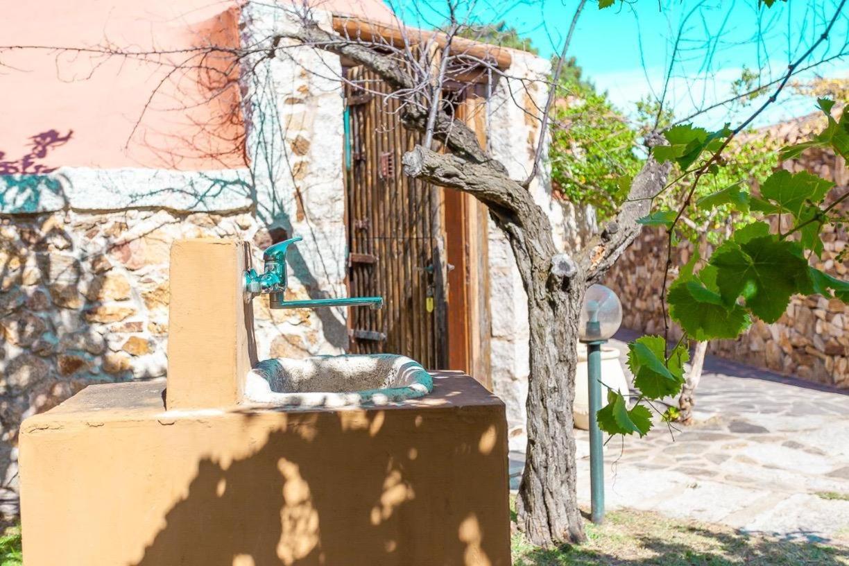 B&B Pettirosso Garden San Teodoro  Exterior photo