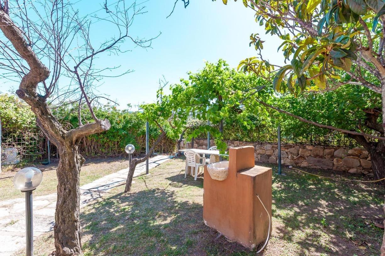 B&B Pettirosso Garden San Teodoro  Exterior photo