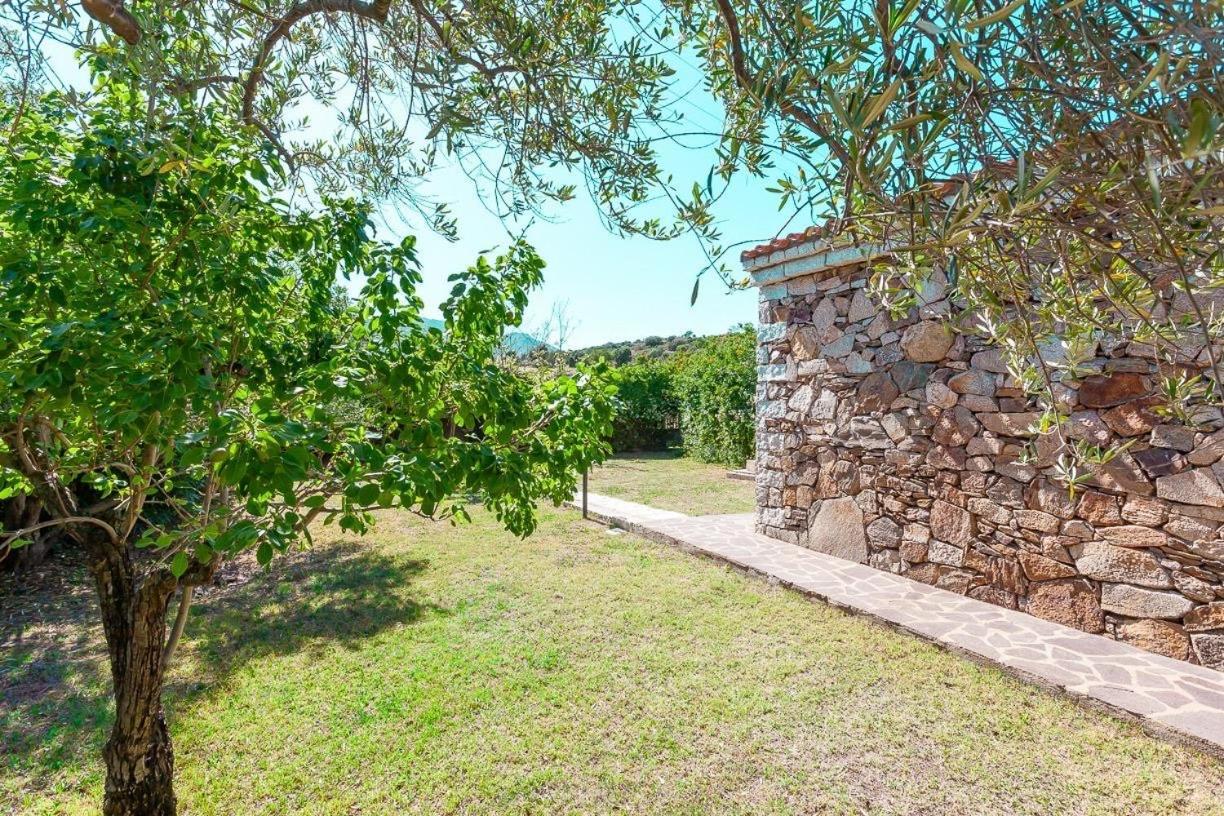 B&B Pettirosso Garden San Teodoro  Exterior photo