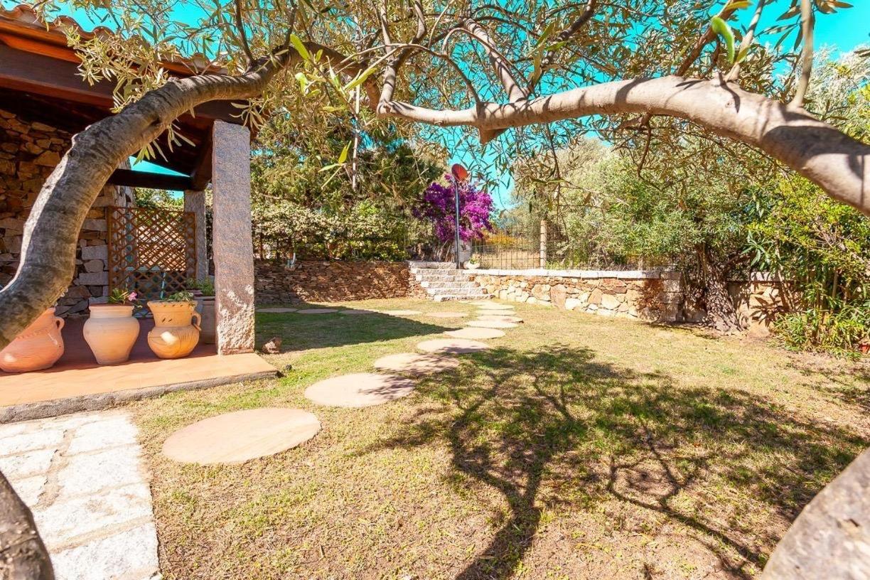B&B Pettirosso Garden San Teodoro  Exterior photo