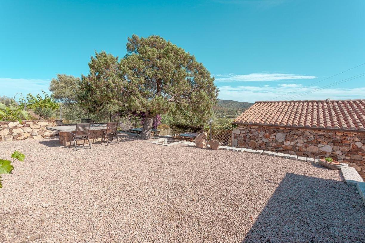 B&B Pettirosso Garden San Teodoro  Exterior photo